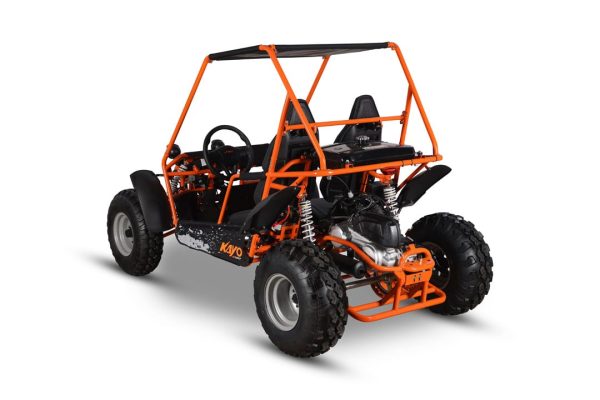 S150 Buggy - Image 7