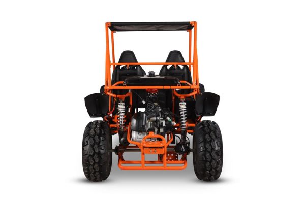 S150 Buggy - Image 4