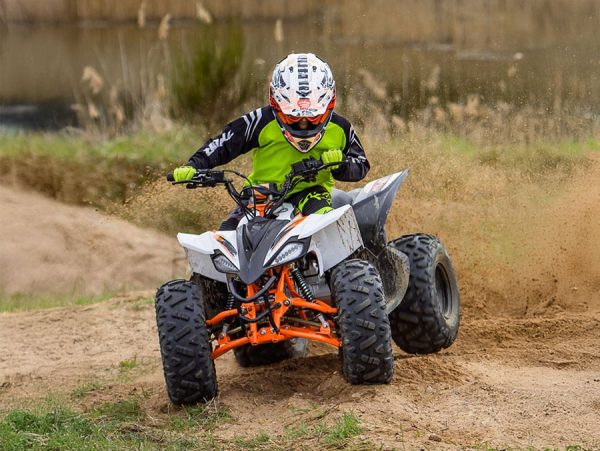 Predator 125 Quad Bike - Image 3