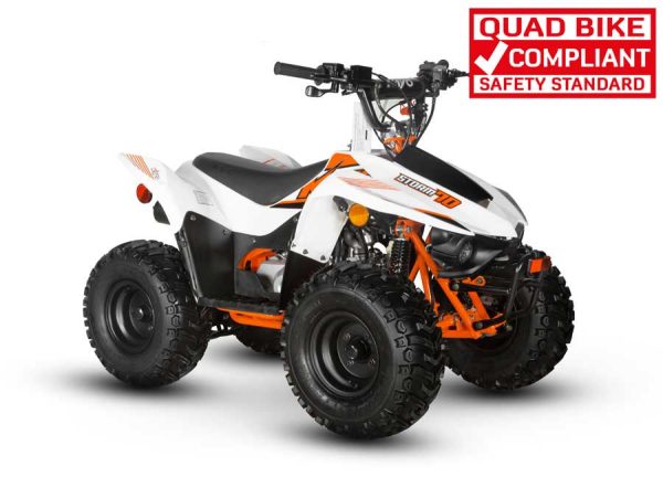 AY70 Quad Bike - Image 7