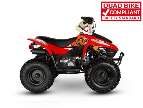 AY70 Quad Bike - Image 11