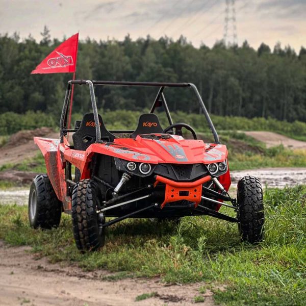 S200 Buggy - Image 2