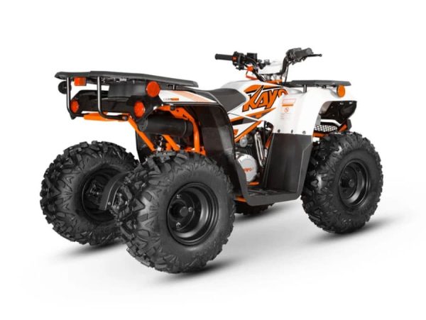Bull 125 Farm Quad ATV - Image 6