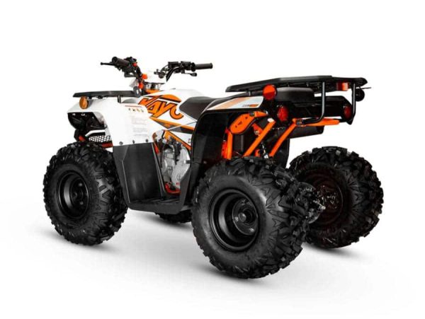 Bull 125 Farm Quad ATV - Image 5