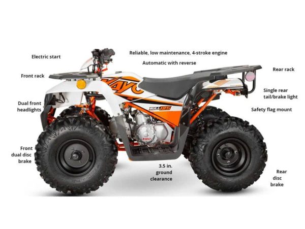 Bull 125 Farm Quad ATV - Image 2