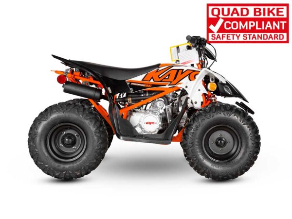 Predator 125 Quad Bike - Image 8