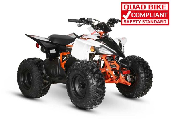 Predator 125 Quad Bike - Image 5