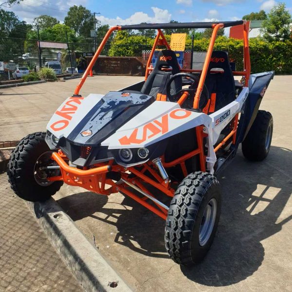 S200 Buggy - Image 5