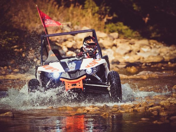 S200 Buggy - Image 4