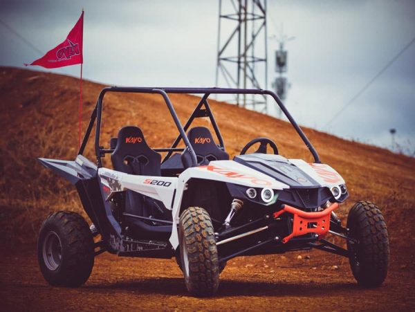 S200 Buggy - Image 3