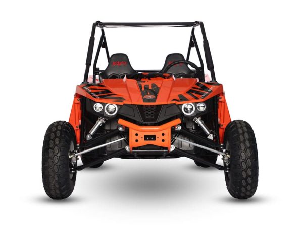 S200 Buggy - Image 12